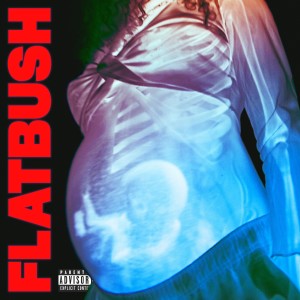 Flatbush Zombies的專輯Afterlife (Explicit)