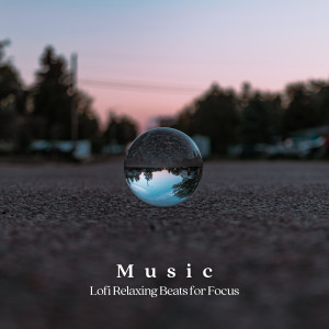 Album Music: Lofi Relaxing Beats for Focus oleh Lofi Brasil
