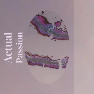 Album Actual Passion from Various