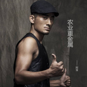 ดาวน์โหลดและฟังเพลง 山丹丹开花红艳艳 (完整版) พร้อมเนื้อเพลงจาก 阿宝