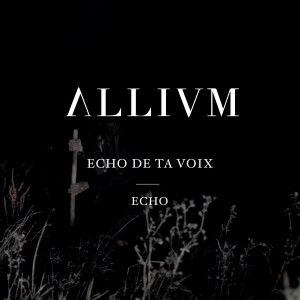 收聽Allivm的Echo歌詞歌曲