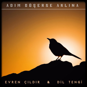 ดาวน์โหลดและฟังเพลง Adım Düşerse Aklına พร้อมเนื้อเพลงจาก Dil Tengi