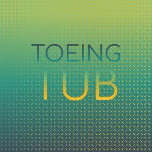 อัลบัม Toeing Tub ศิลปิน Various