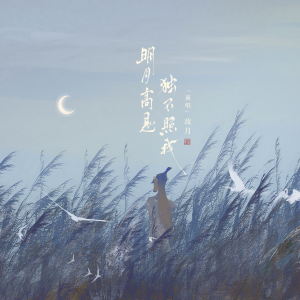 Listen to 明月高悬 独不照我 (完整版) song with lyrics from 苏婵一
