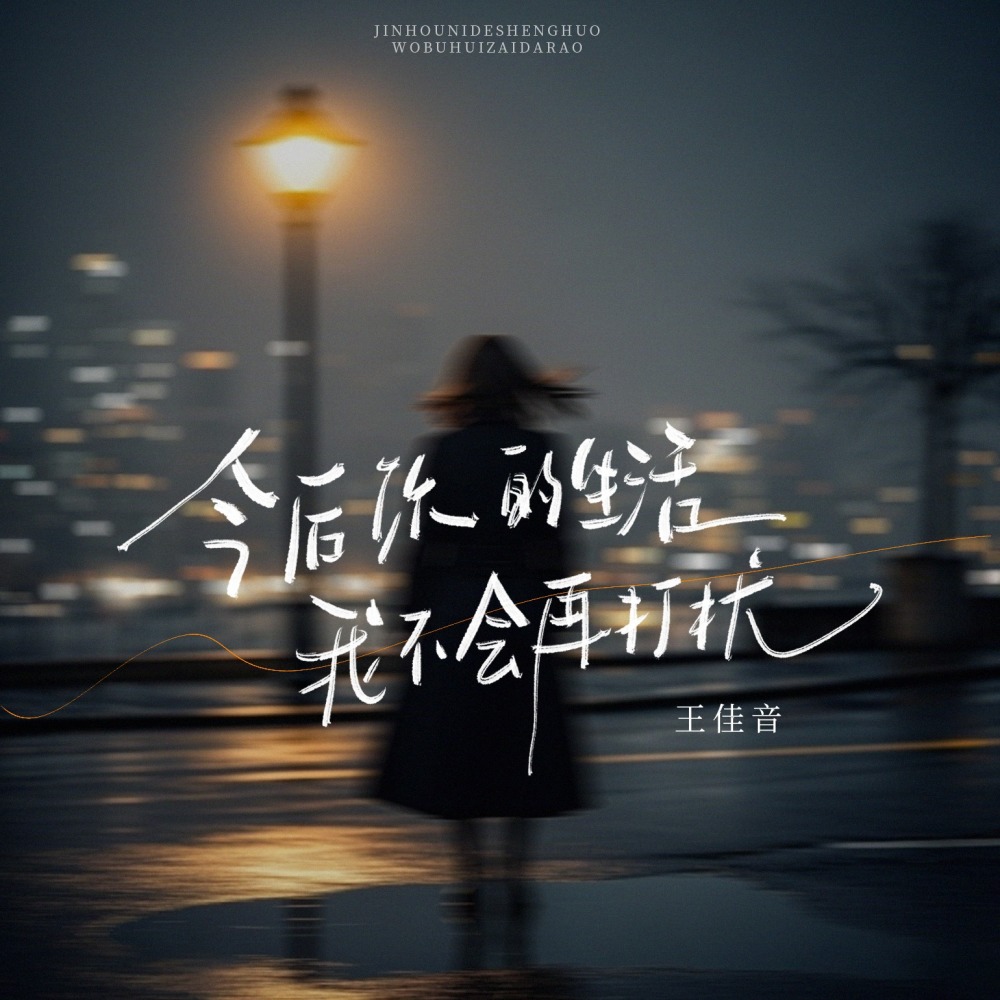 今后你的生活我不会再打扰 (伴奏)