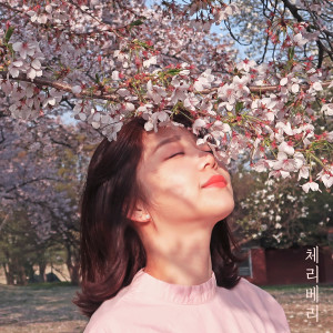 收听체리베리的Same歌词歌曲