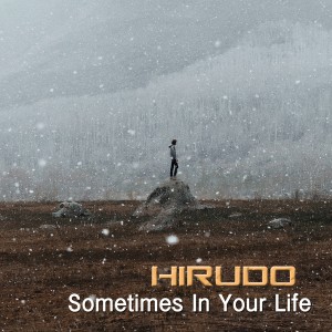 อัลบัม Sometimes In Your Life ศิลปิน Hirudo