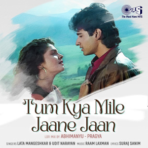 Udit Narayan的專輯Tum Kya Mile Jaane Jaan (Lofi Mix)