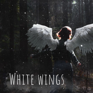 ดาวน์โหลดและฟังเพลง White Wings พร้อมเนื้อเพลงจาก ДНК