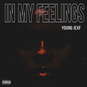 Album In My Feelings (Explicit) from Young Jexf