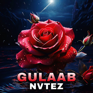 Album Gulaab from NVTEZ