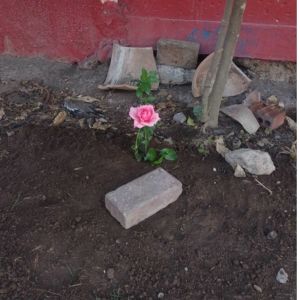 ดาวน์โหลดและฟังเพลง speeding motorcycle พร้อมเนื้อเพลงจาก Gule & Blå