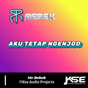 收听Mr Bebek的AKU TETAP NGENJOD歌词歌曲