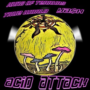 Dengarkan lagu ACID ATTACK nyanyian True World dengan lirik