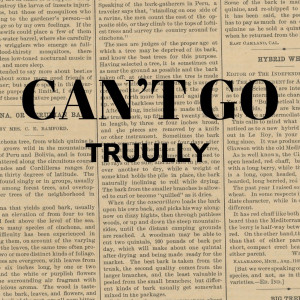收听TRUULLY的Can't Go歌词歌曲