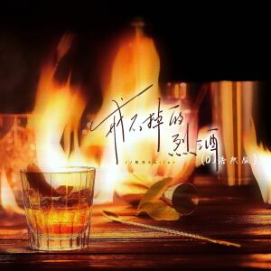 Album 戒不掉的烈酒 (DJ浩然版) from 凯乐Kailer