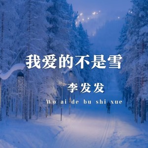 我愛的不是雪