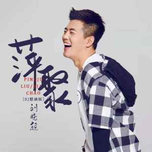 收听刘晓超的萍聚 (DJ默涵版)歌词歌曲