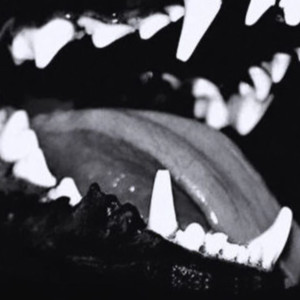 Album Babilone (Explicit) from Gianni $tallone