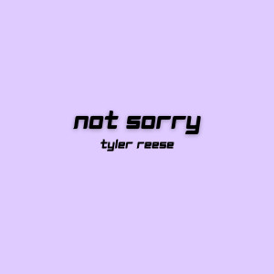 收听Tyler Reese的Not Sorry歌词歌曲