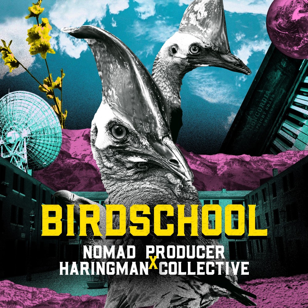 BirdSchool