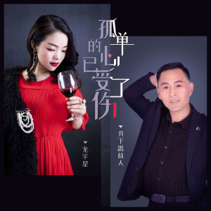 收听月下思故人的孤单的心已受了伤歌词歌曲