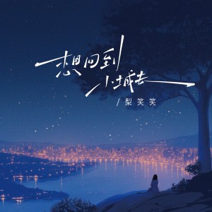 笑笑王的专辑想回到小城去