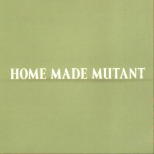 ดาวน์โหลดและฟังเพลง Ako som si ustlal พร้อมเนื้อเพลงจาก Home Made Mutant