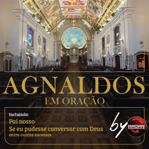 Listen to Se eu pudesse conversar com Deus song with lyrics from Agnaldo Timoteo