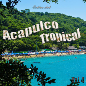 Listen to Besito Comprado song with lyrics from Acapulco Tropical