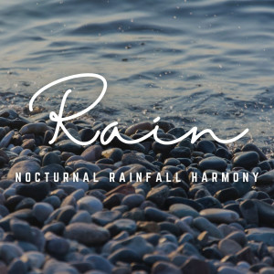 cloudy night的专辑Nocturnal Rainfall Harmony: A Sleepscape Symphony