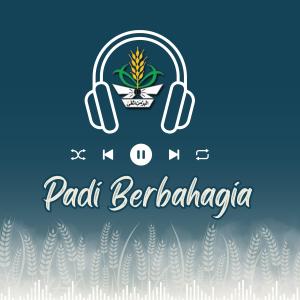 Album Padi Berbahagia (feat. Kiki) from Suci Tacik