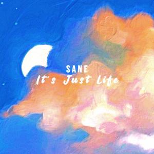 Dengarkan lagu It's Just Life nyanyian Sane dengan lirik
