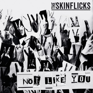 Album Not like you (Explicit) from The Skinflicks