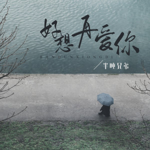 Listen to 好想再爱你 song with lyrics from 半吨兄弟
