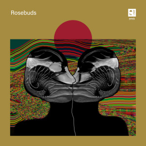 Album Rosebuds from G Bersa