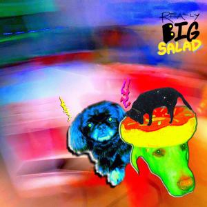 Album Really Big Salad (EP) (Explicit) from Komodo