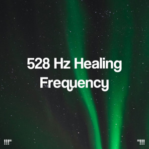 Deep Sleep Meditation的专辑"!!! 528 Hz Healing Frequency !!!"