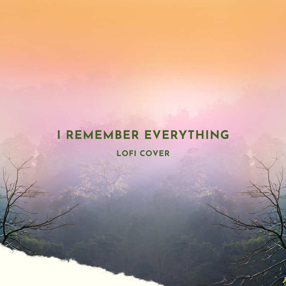 I Remember Everything (Lofi Cover) (I Wish I Didnt But I Do Remember Every Moment On The Nights With You)
