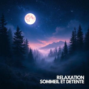 Musique Calme et Relaxation的專輯Écouter le Silence qui Habite les Montagnes