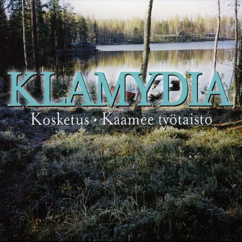 Kaamee työtaisto