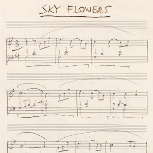 Album Sky Flowers from 