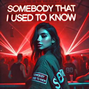 收聽PSYKADELIK的Somebody that i used to know (Techno)歌詞歌曲