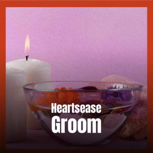 Listen to Cares Earworm song with lyrics from Doda Cruza