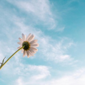 Ruben Worth的專輯Grace