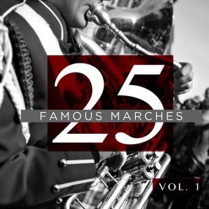 ดาวน์โหลดและฟังเพลง Amparito Roca (arr. R. Doersch) พร้อมเนื้อเพลงจาก Concert Band United States Air Force Band of the Rockies