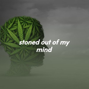 Album Stoned out of My Mind from Various
