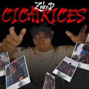 Album Cicatrices from ZakoD