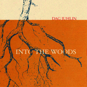 ดาวน์โหลดและฟังเพลง Pony Girl พร้อมเนื้อเพลงจาก Dag Juhlin