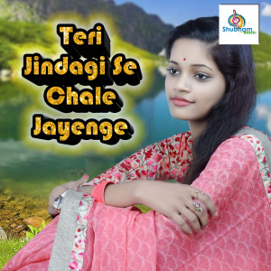 Album Teri Jindagi Se Chale Jayenge from Mahima Singh